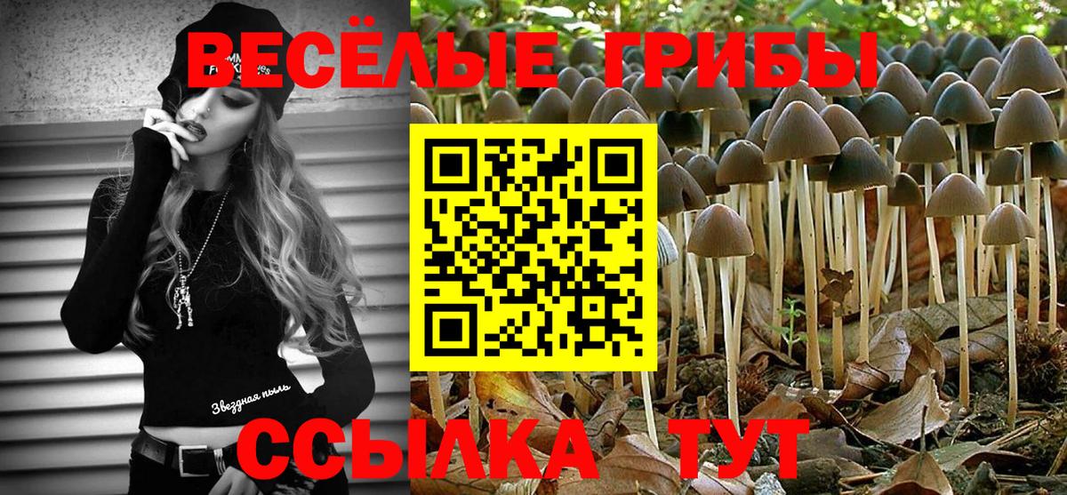 Псилоцибиновые грибы Psilocybe  Вход с VPN  Майский  Галлюциногенные грибы ЛСД 