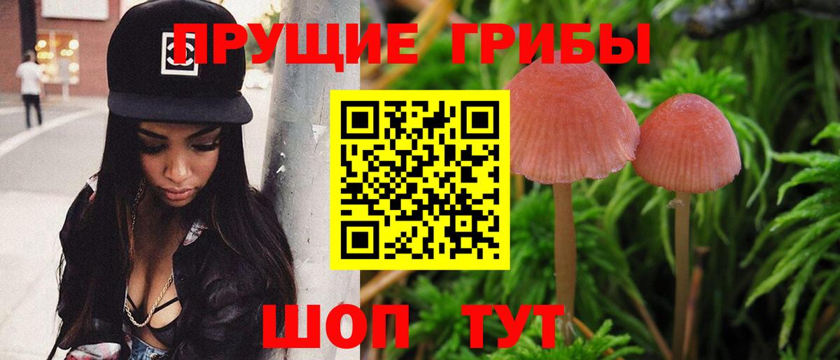 Псилоцибиновые грибы Cubensis Майский
