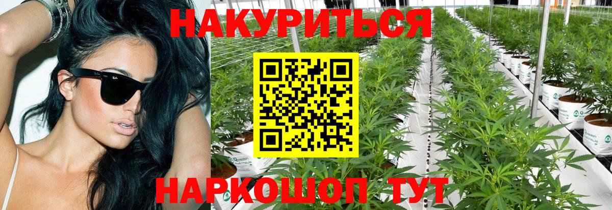 Бошки Шишки сатива Майский